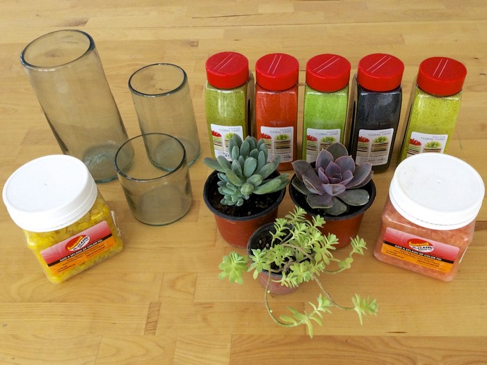 How to make a Desktop Succulent Garden 2